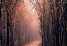 最受民众喜爱的12位体育明星! 一樊振东... 来自深圳徐筱凡.