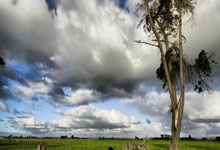 最受民众喜爱的12位体育明星! 一樊振东... 来自深圳徐筱凡.