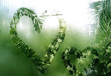 [澳网]澳网赛事总监泰利：欢迎更多中国年轻球员.