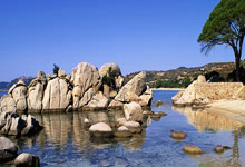 最受民众喜爱的12位体育明星! 一樊振东... 来自深圳徐筱凡.